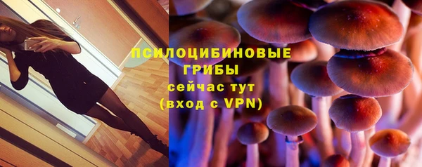 не бодяженный Армянск