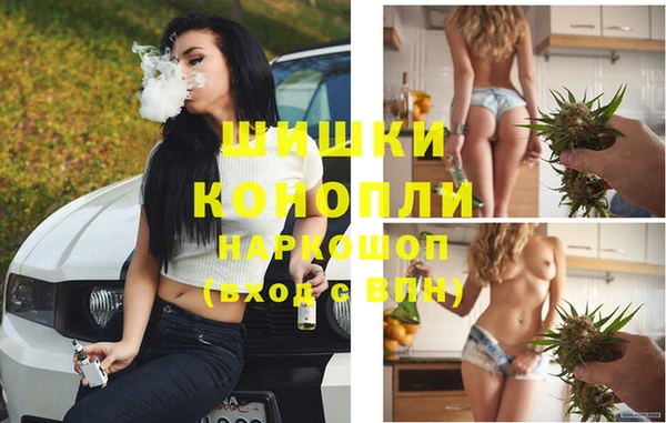 тгк Аркадак