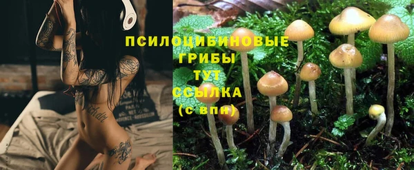 a pvp Арсеньев
