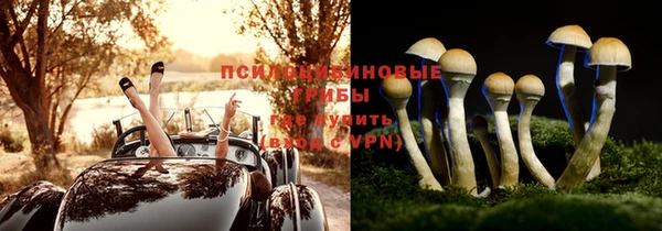 a pvp Арсеньев