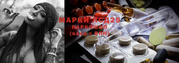 тгк Аркадак
