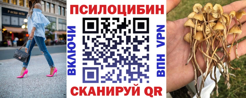 Купить где  Уфа  Галлюциногенные грибы GOLDEN TEACHER 